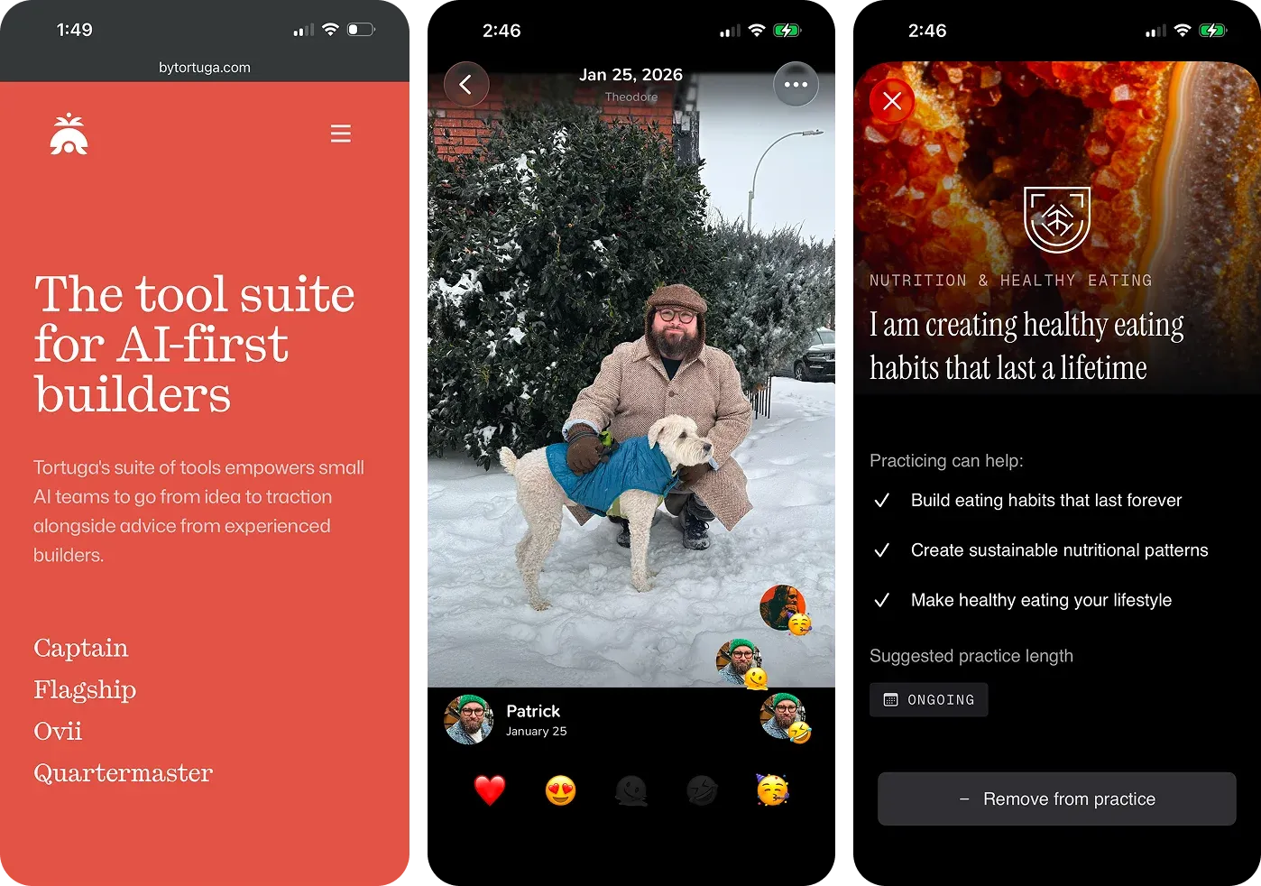 The three reference screenshots used to test each model